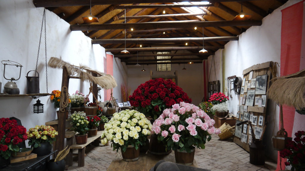 On a bed of roses 1? Flickr