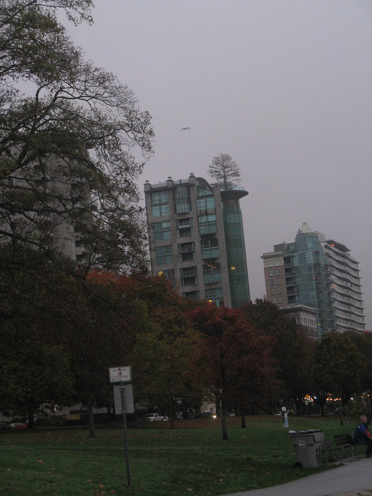 Apartment with tree on roof near Stanley Park, Vancouver Flickr