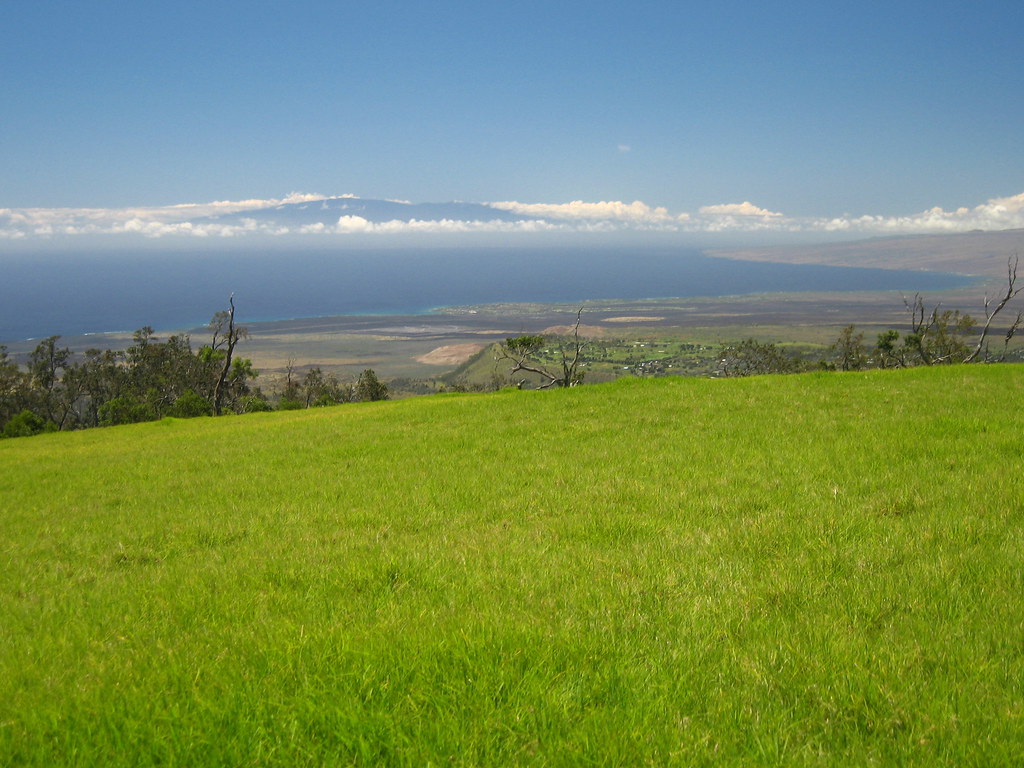 View (feat. Maui) At the top of Pu'u Wa'awa'a. Joe Yeager Flickr