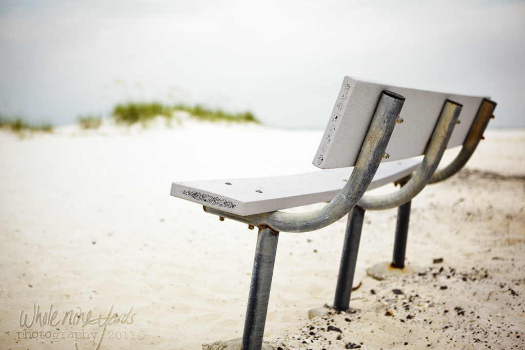 best seat on the beach If it was about 20 degrees cooler, … Flickr