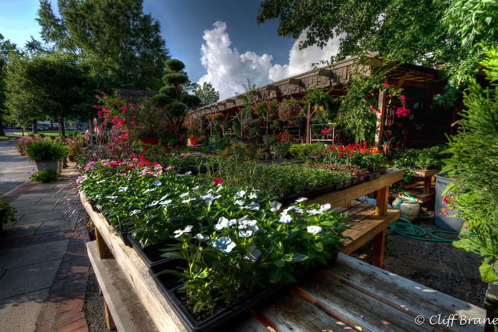 Leaf N Petal Mountain Brook Village Stopped by Davenport… Flickr