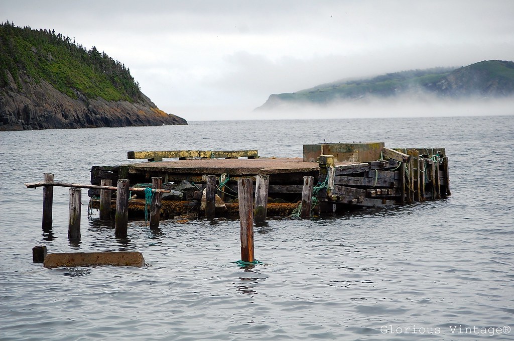 Cape Broyle Fog Cape Broyle along the coast of the Avalon … Flickr