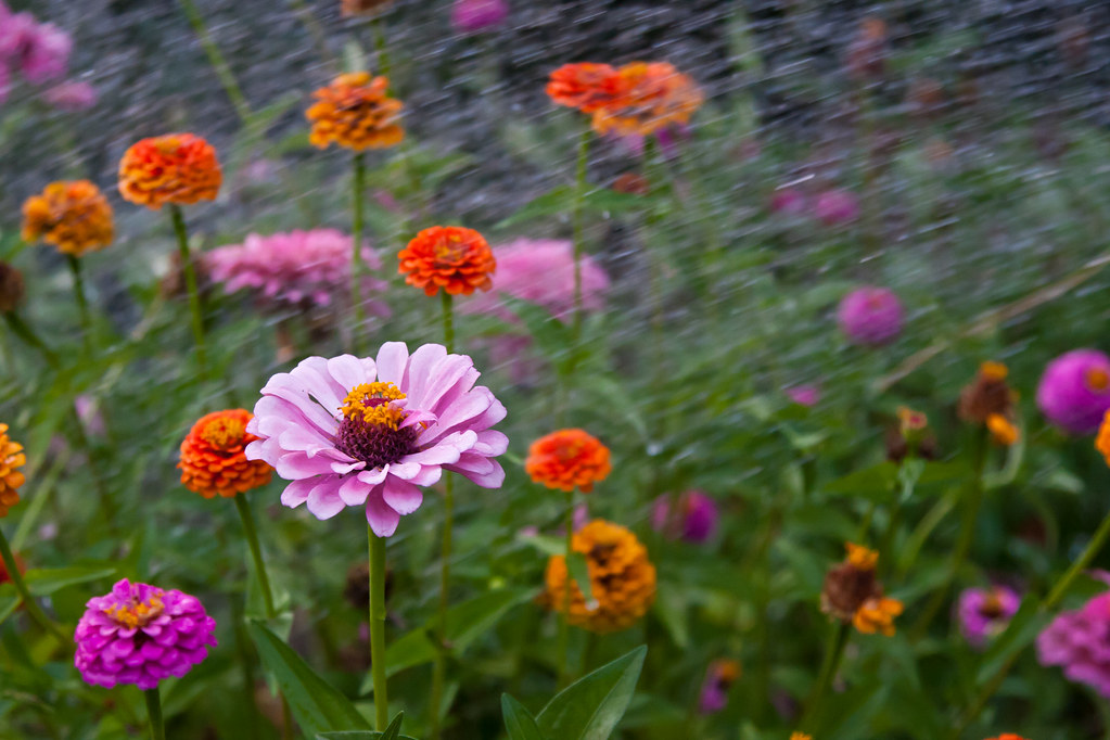 Elevation of Powder Creek Way, Dallas, GA, USA Topographic Map