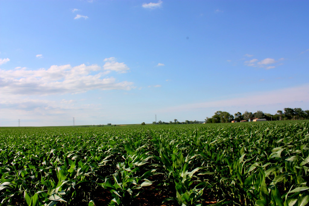 Elevation of Gayville Township, SD, USA Topographic Map Altitude Map