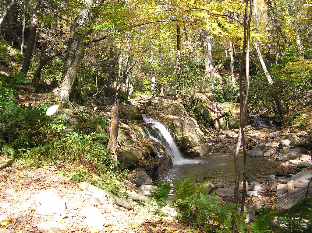 Dunnfield Creek, Blue Trail, Worthington State Forest P101… Flickr