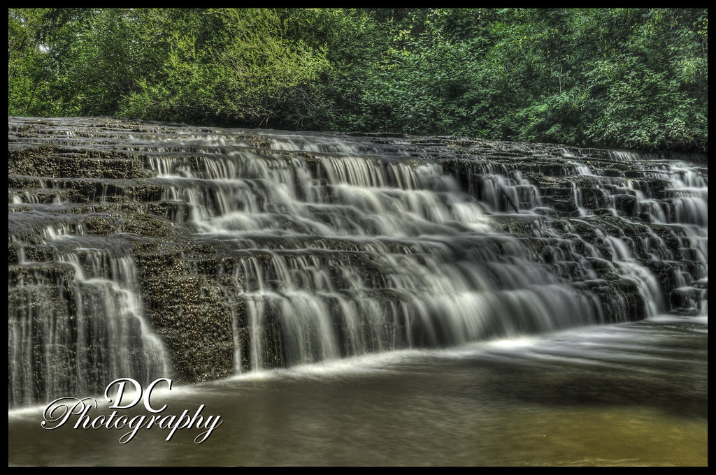Crooks Hollow 9 David