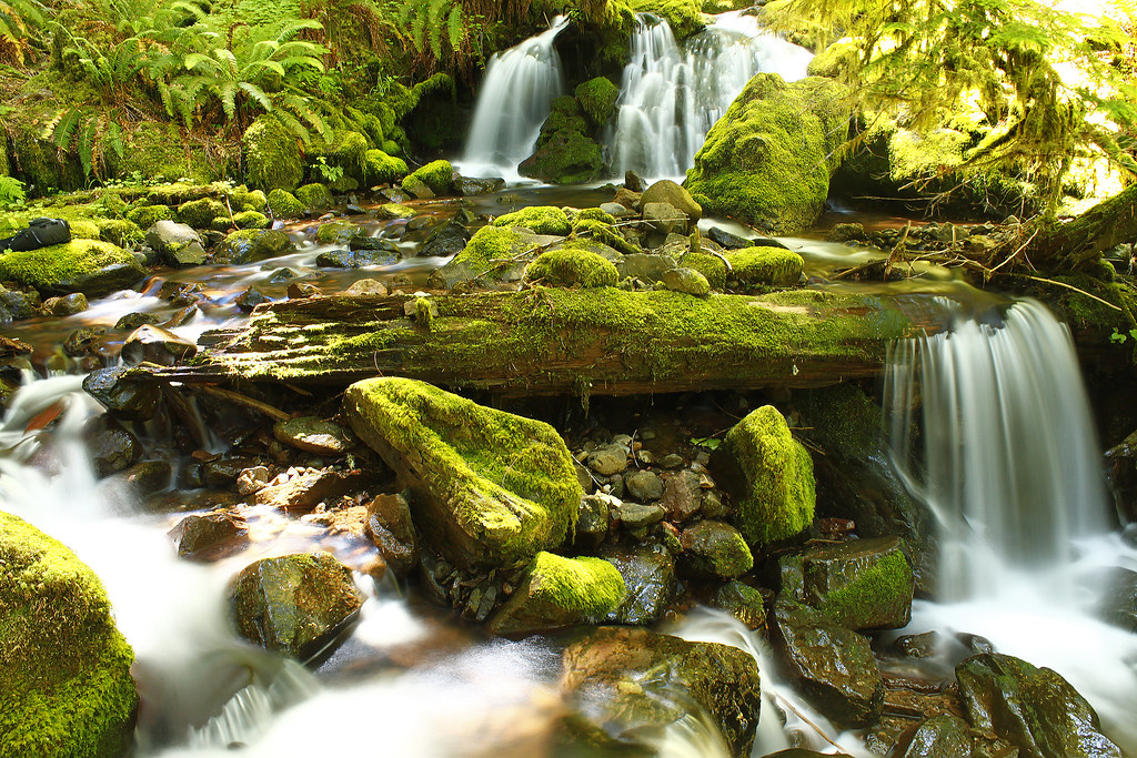 Whitehead Creek Falls revisited feedback and constructive … Flickr