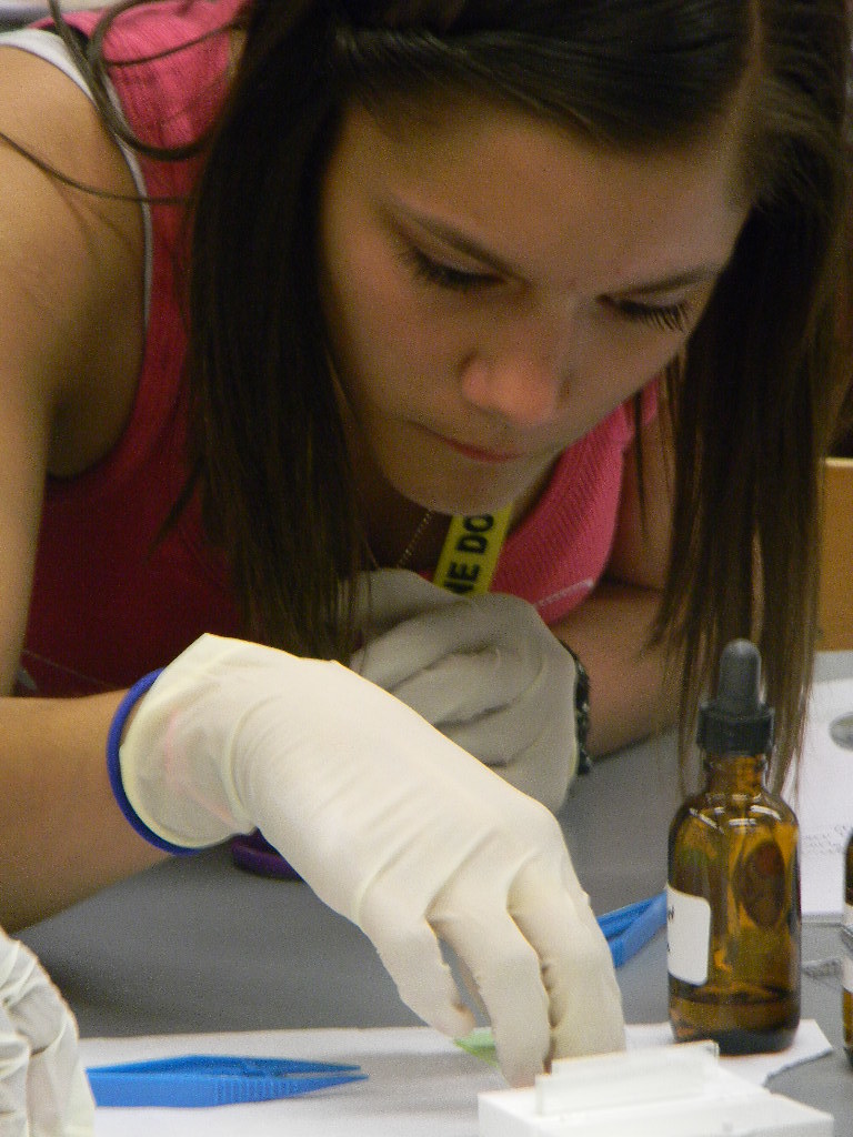 Forensic Investigators Forensic Investigators process evid… Flickr