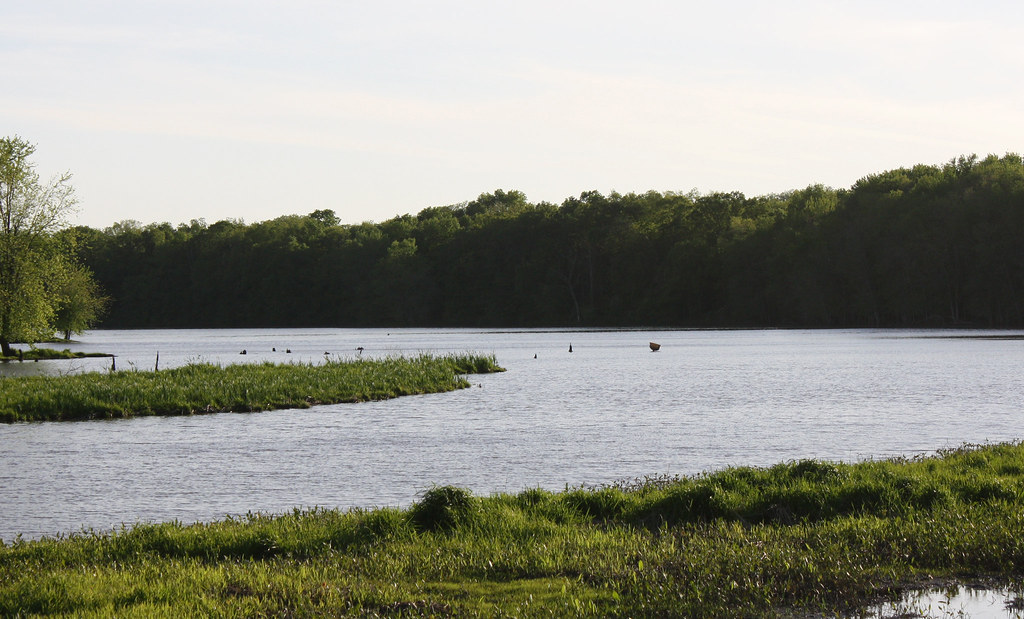 Salt Creek Wetland Project Elizabeth Flickr