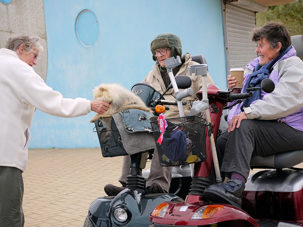 Patting The Dog Benllech, Anglesey. The beach here is supp… Flickr