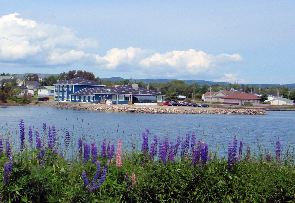 Bay Roberts Hotel and Klondyke Steak House Bay Roberts Lup… Flickr