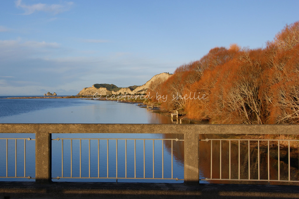 Uawa River, Tolaga Bay Shellie Flickr