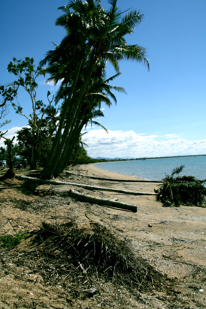 Cardwell beach recovering after cyclone Yasi Linda Selleck Flickr