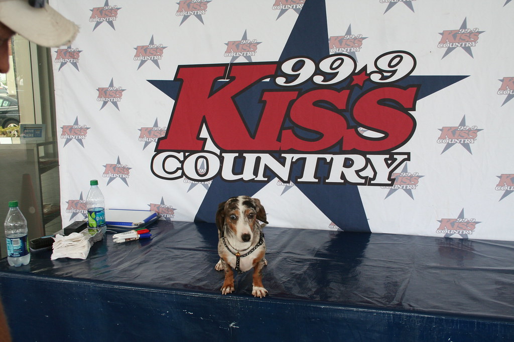 Ed Morse Sawgrass Auto Mall American Humane Society 032 Flickr