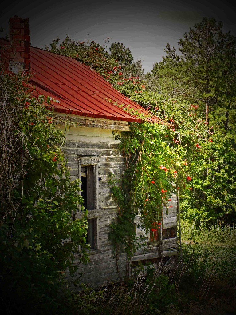 Layers of Time Castalia Vicinity, Nash County, NC Flickr