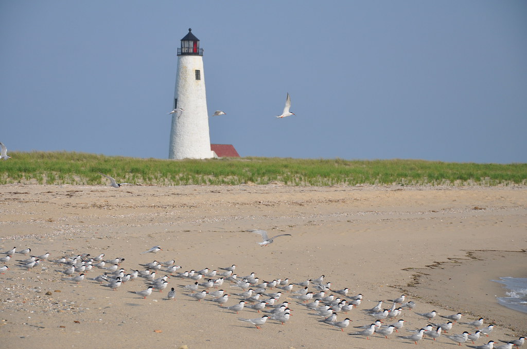 Nantucket National Wildlife Refuge. Lighthouse at Nantucke… Flickr