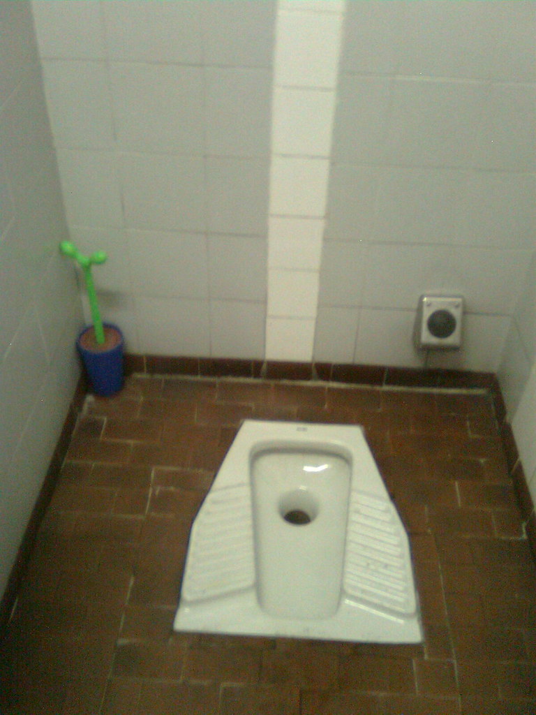 the squat toilet This picture is taken in Italy at Henkel … Flickr