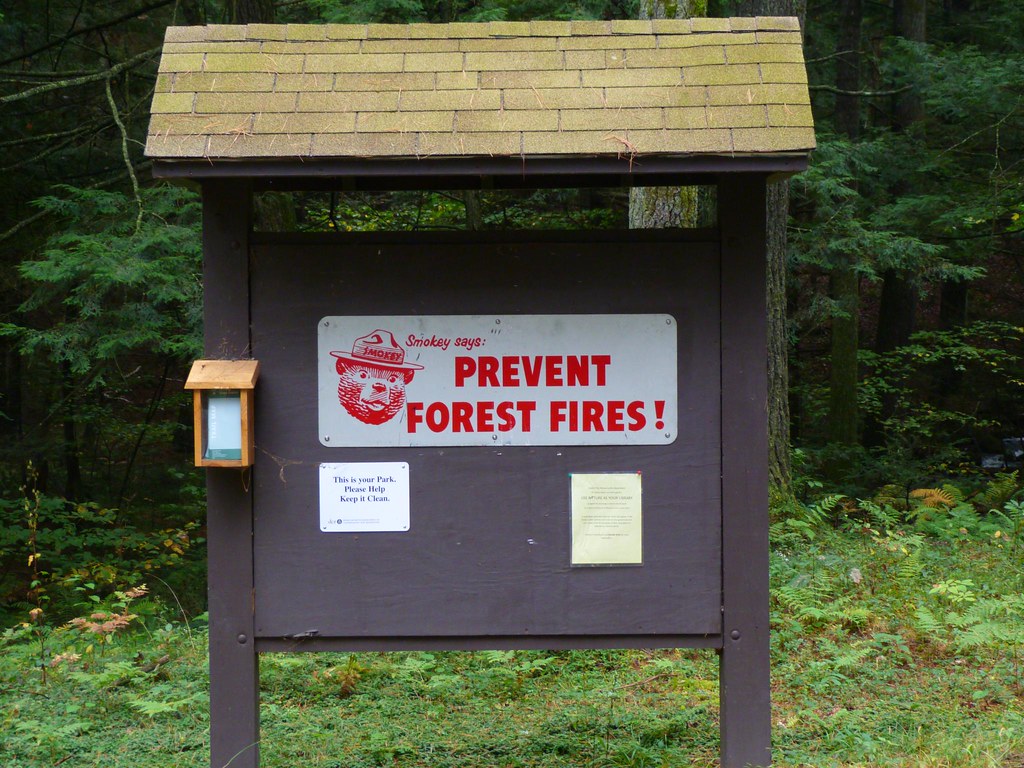 Erving State Forest Flickr