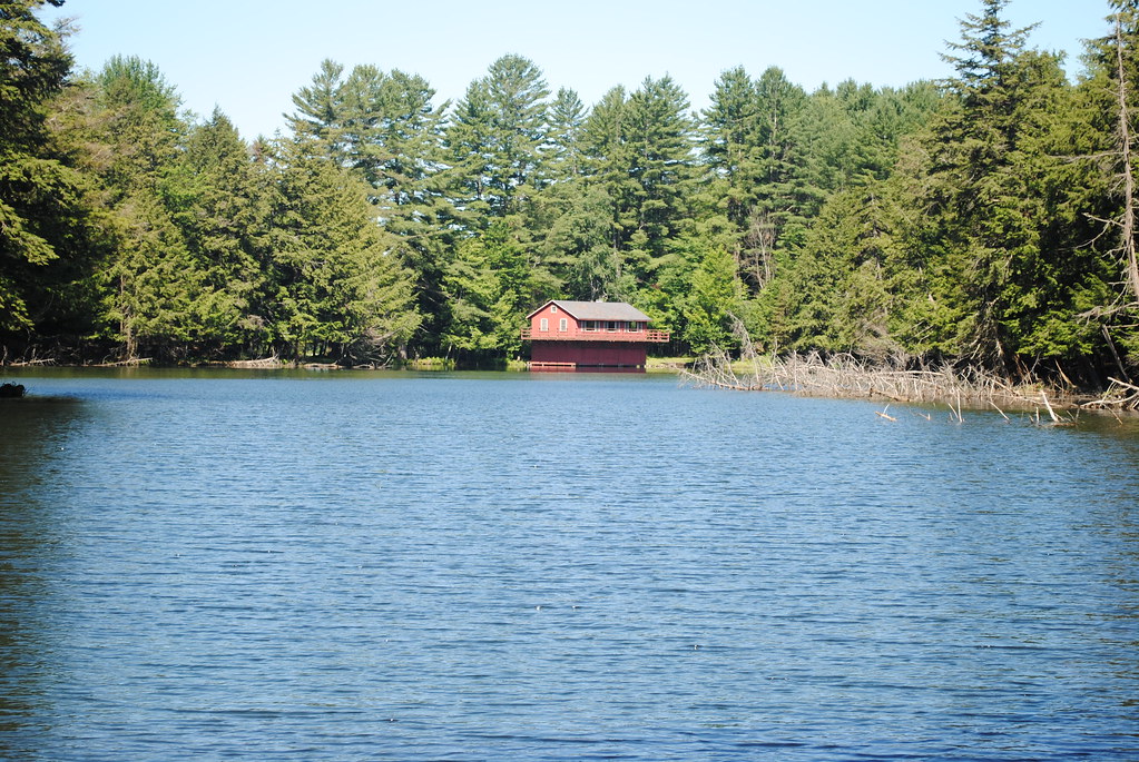 Lake Julia The Community