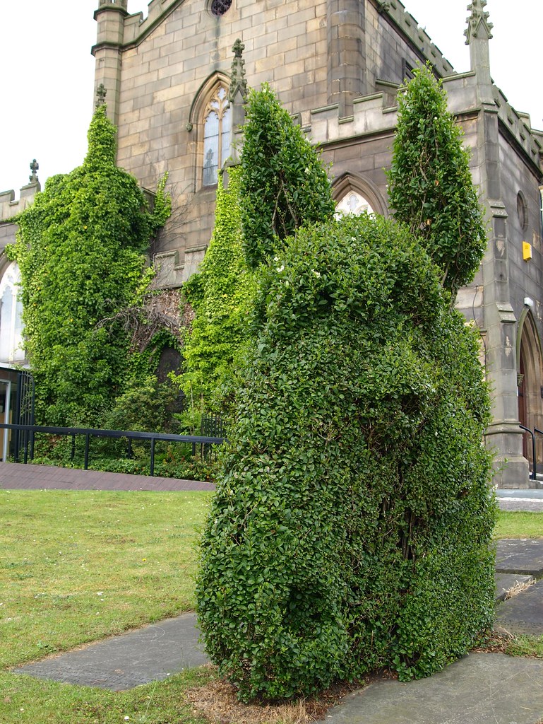Rather large horses head in Preston a photo on Flickriver