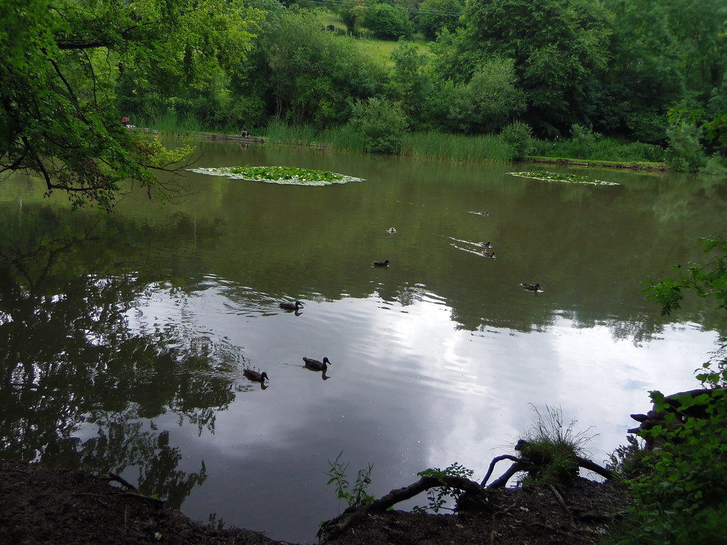 Toadsmoor Pond Walk Bisley to Stroud via Toadsmoor Valley… ricardo