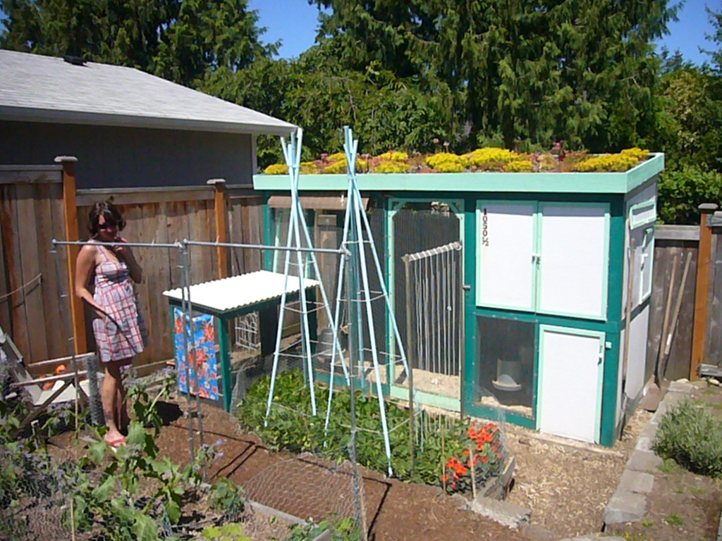 Chicken Coop w/ Green Roof 14 Stacy Brewer Large, aviary … Flickr