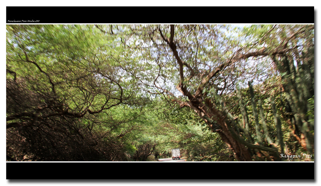 Frenchmans Pass Aruba 2011 Kingpin & Angel Flickr