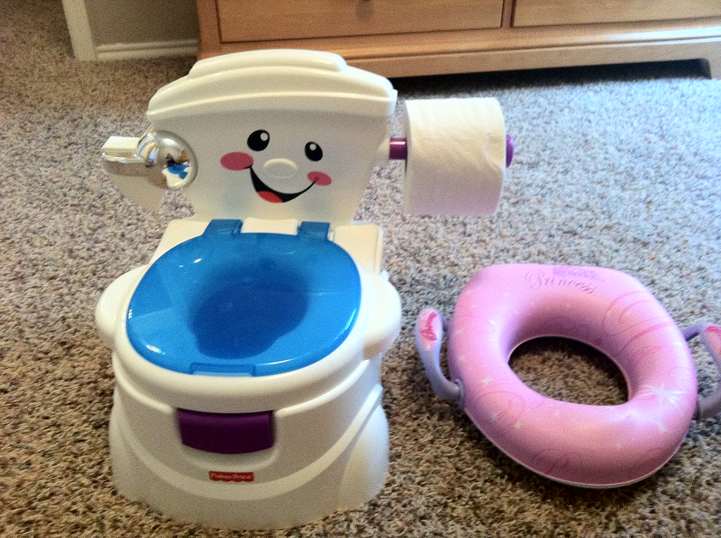 Potty Training Set Singing Potty Chair and Princess Potty … The
