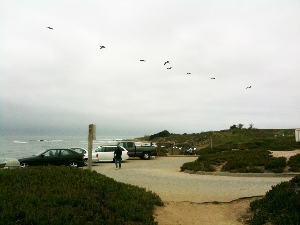 at Bean Hollow State Park Frank Farm Flickr