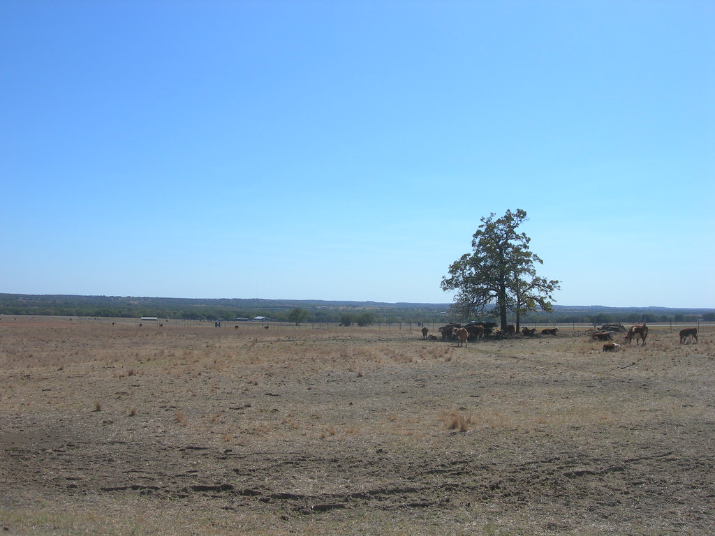 LBJ Ranch The LBJ National Historical Park near Stonewall,… Flickr