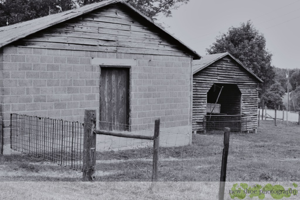 Stowe Dairy Farm 3 newshoe33 Flickr