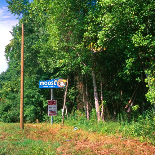 Invisible Moose Lodge An isolated rural Moose Lodge sign a… Flickr