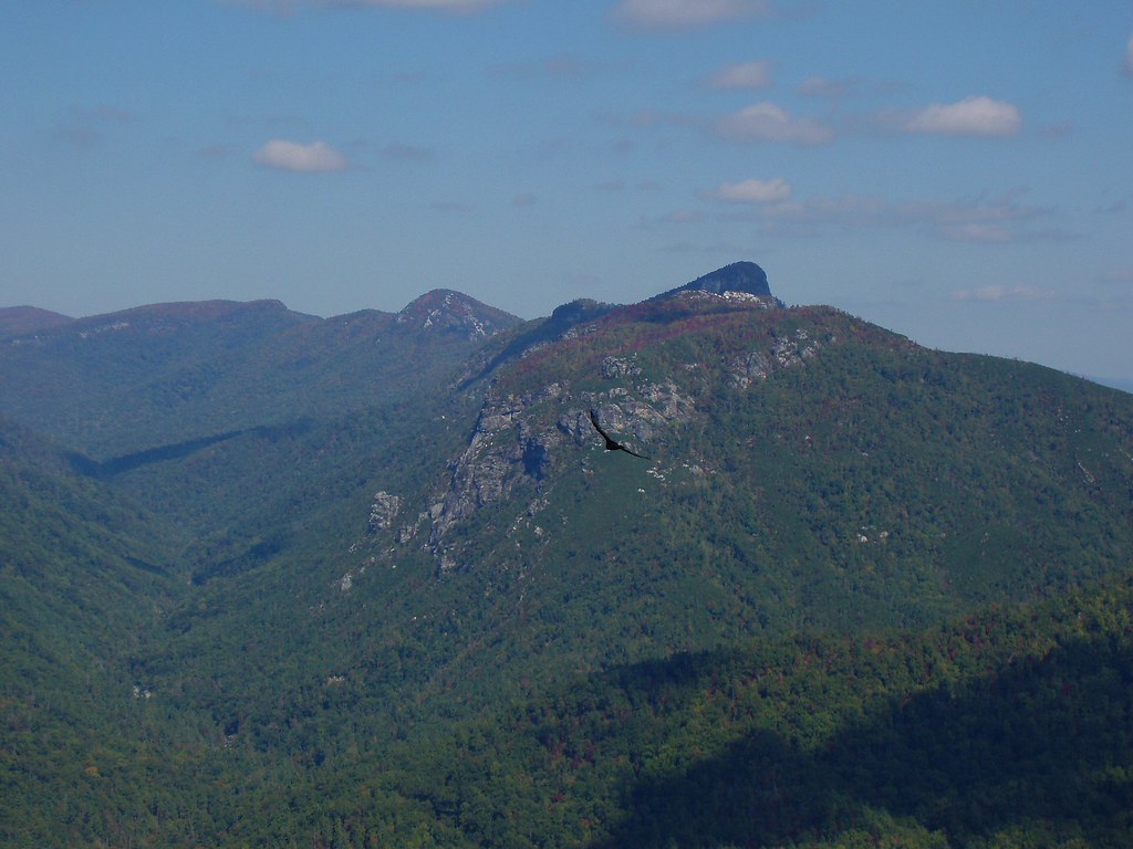 Buzzard Floating, Linville Wilderness, North Carolina a photo