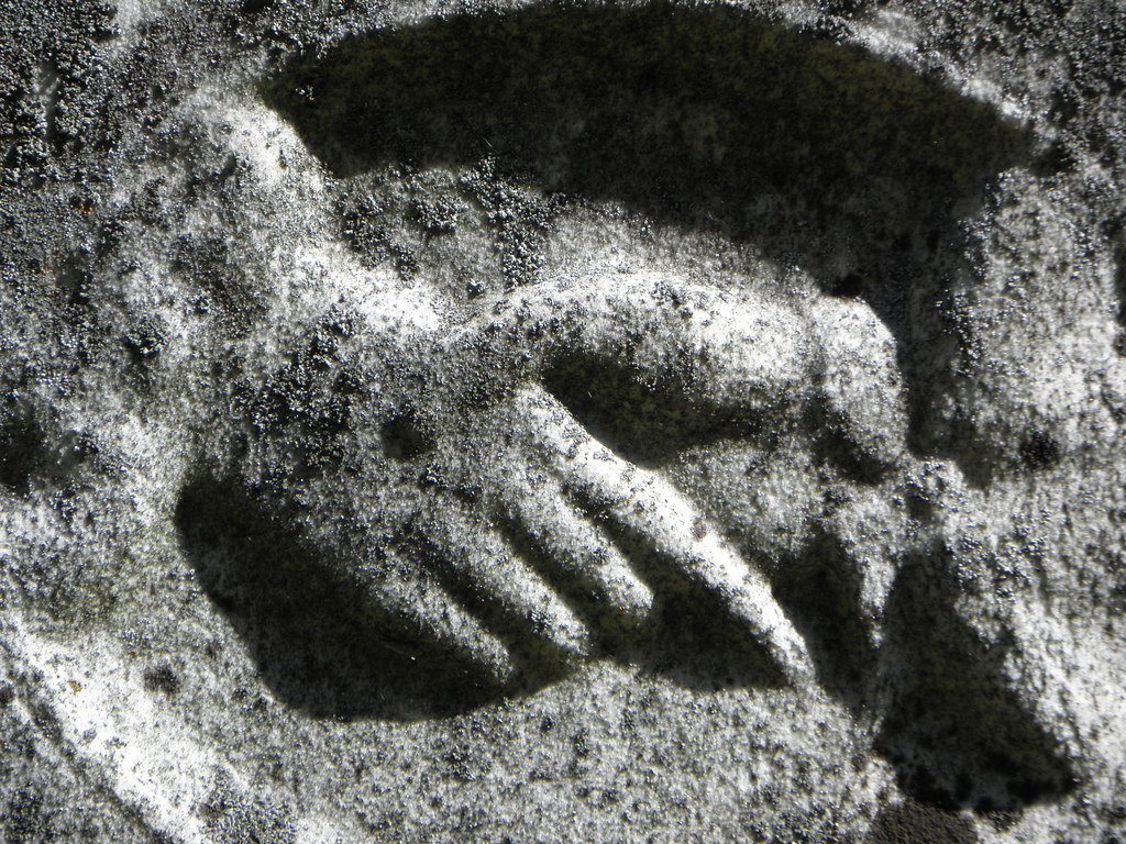 East Fox Lake Cemetery Mike Steele Flickr