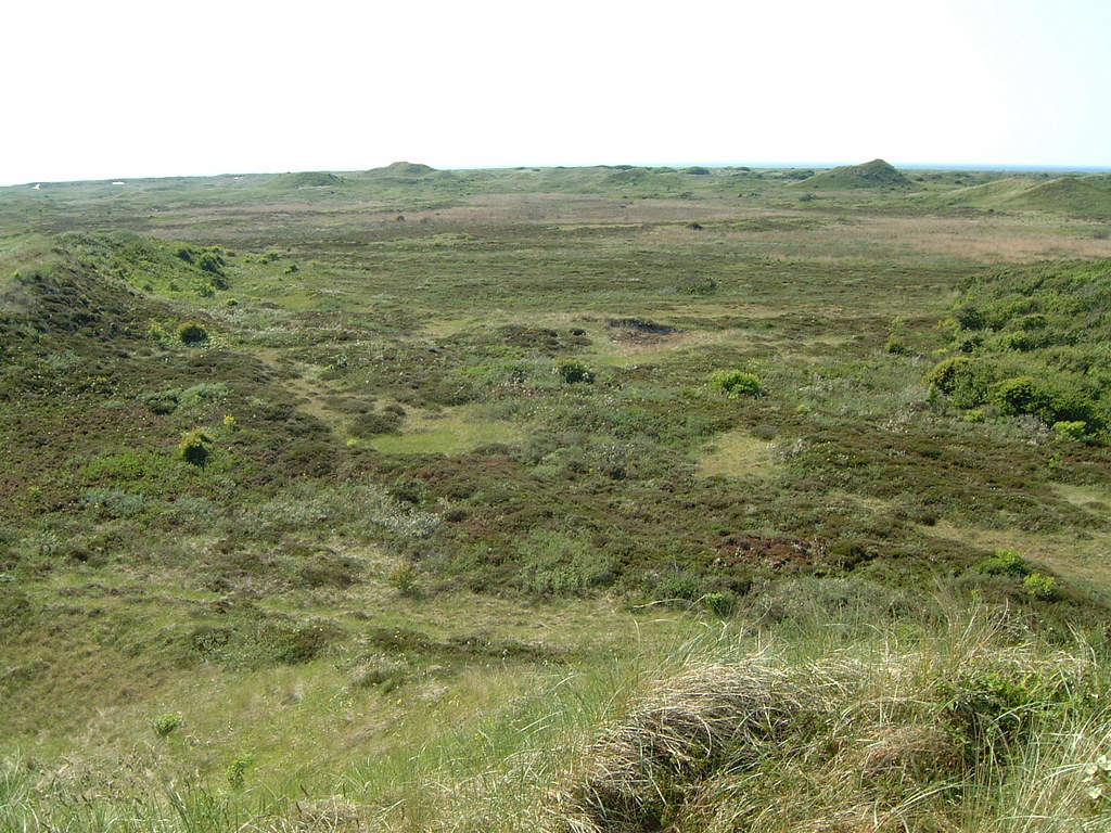 b17maartent1363 VIPRE Antivirus Discount Coupon Code Migen Blog