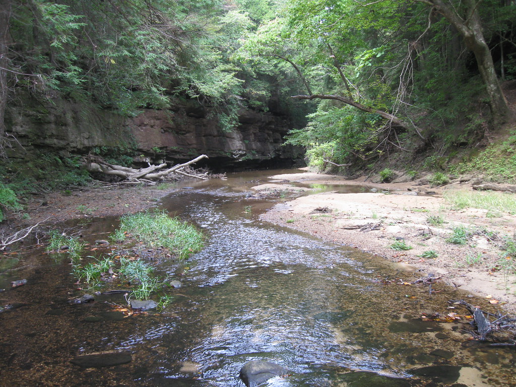 Bankhead National Forest Sipsey Wilderness 048 Scott Fee Flickr