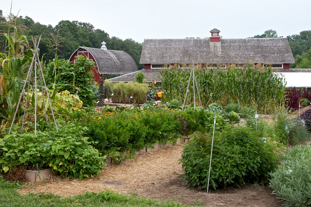 Visiting Seed Savers Heritage Farm in Decorah, Iowa Flickr
