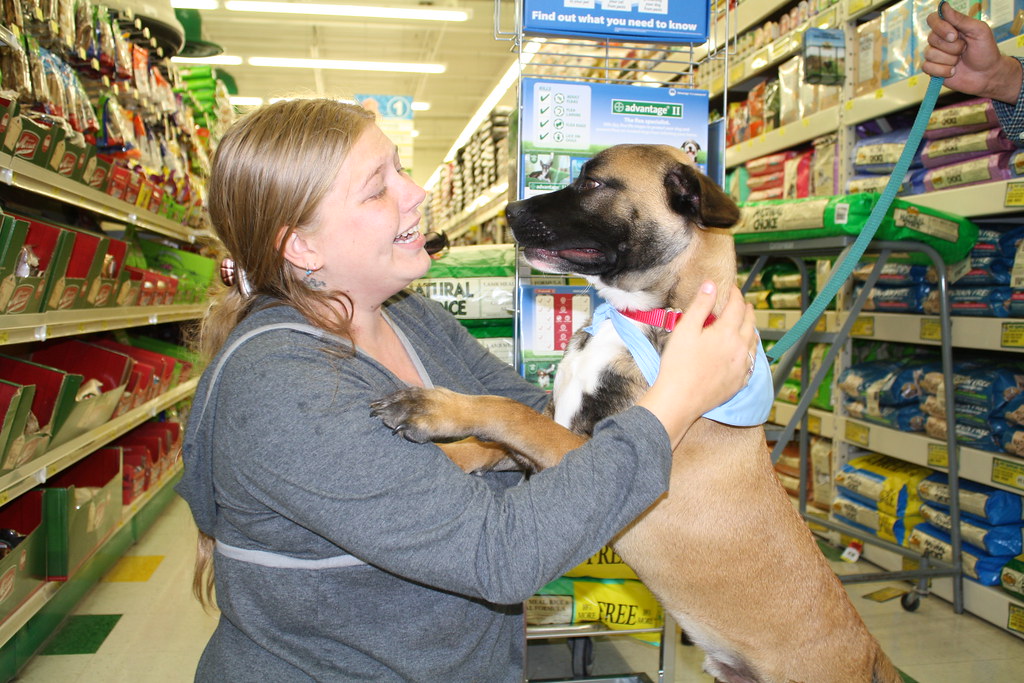 Pet Supplies Plus AdoptaPet, September 24, 2011 Flickr