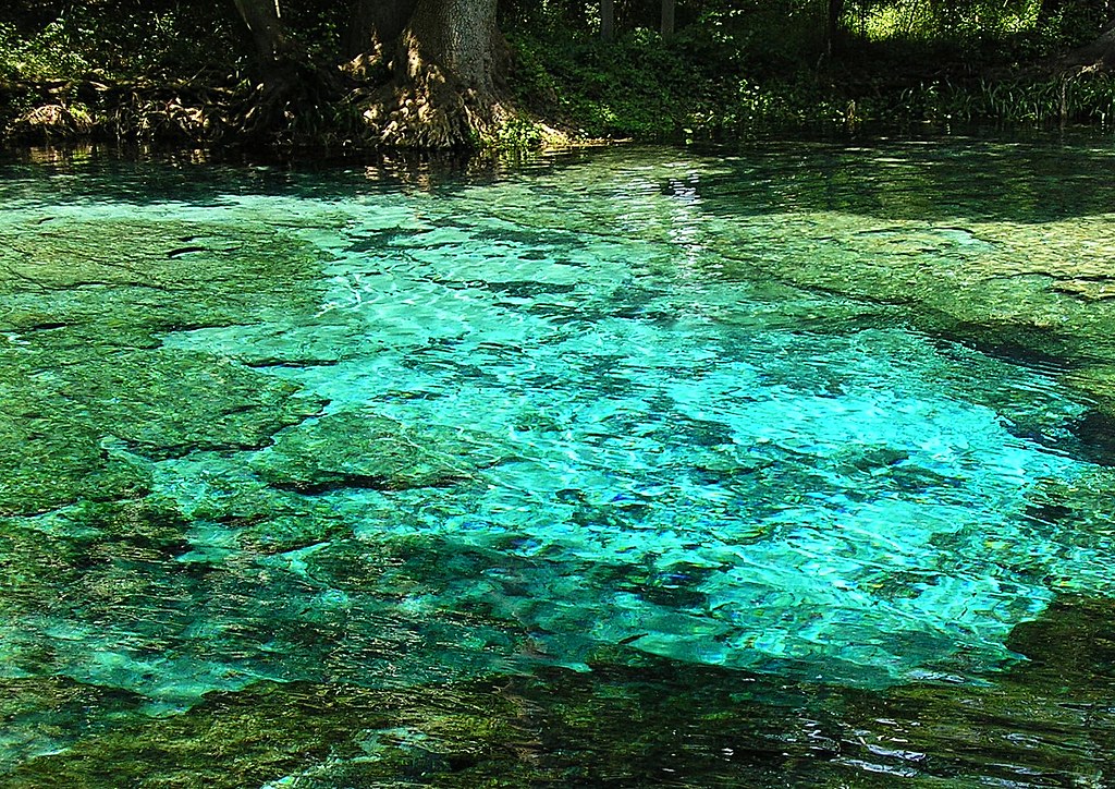 Ginnie Springs Headspring Closeup A closeup view of the … Flickr
