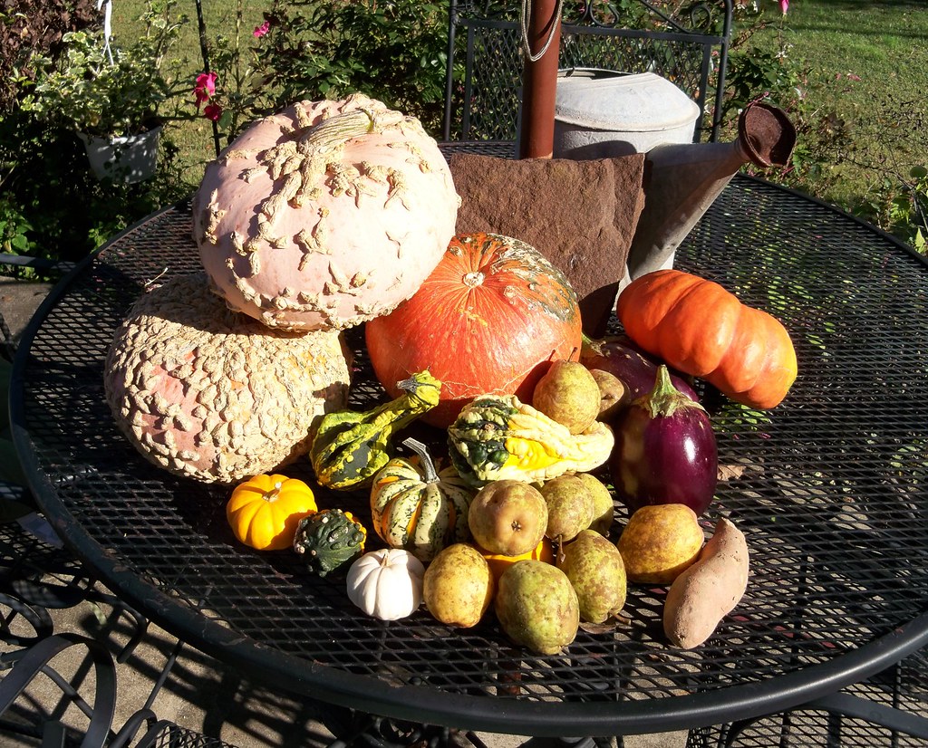 Edible Pumpkins , ornamental Squashes , and pears one swee… Flickr
