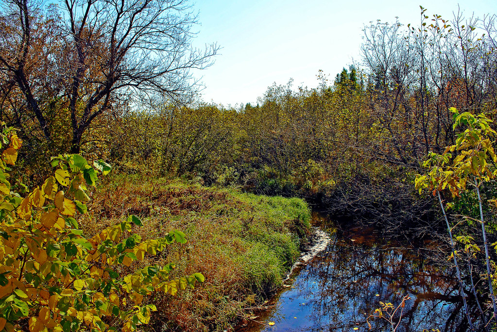 Big Beaver Creek Shrub Carr Big Beaver Meadow State Natura… Flickr