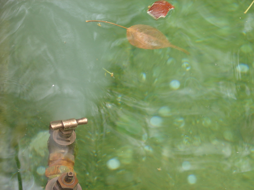 Tap in water pond (DSC00437) A Small pond in front of the … Flickr
