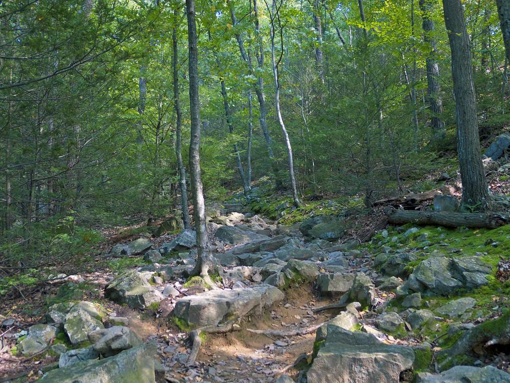 Hiking Mount Tammany in Worthington State Forest wxkeith Flickr
