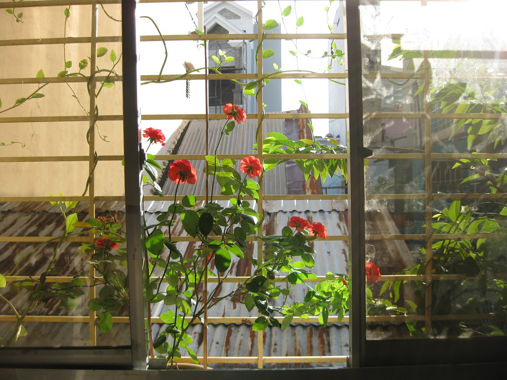 Window trellis Michelle Blue Flickr