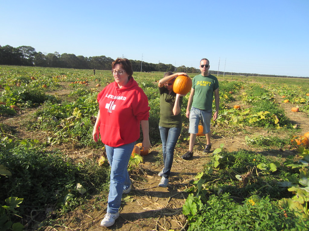 Pumpkin picking at Lewin Farms on the East End of Long Isl… Flickr