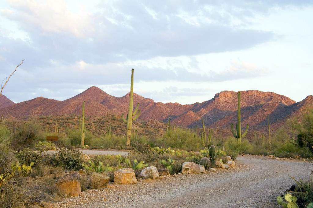 Signal Hill Picnic Area looking Southeast View to the Sout… Flickr
