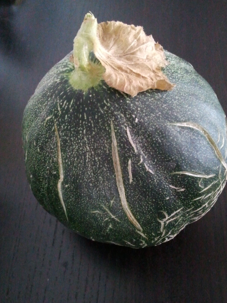 Melon de Montréal Mon premier melon de Montréal... autrefo… Flickr