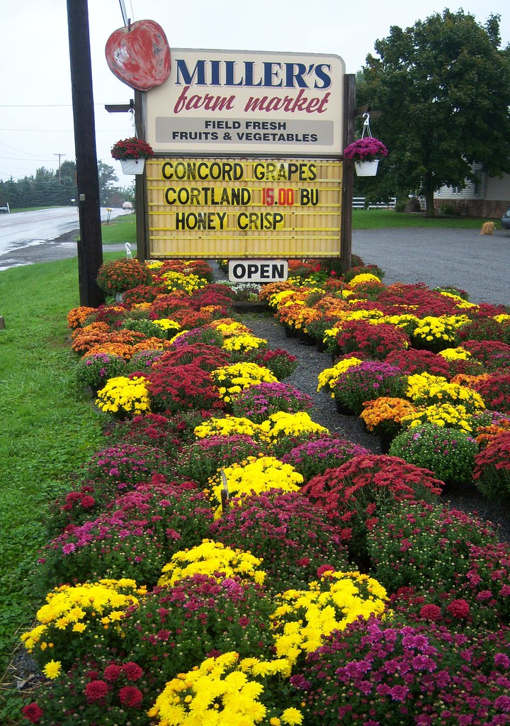 Miller's Farm Market near Walnut Creek, Ohio bjebie Flickr