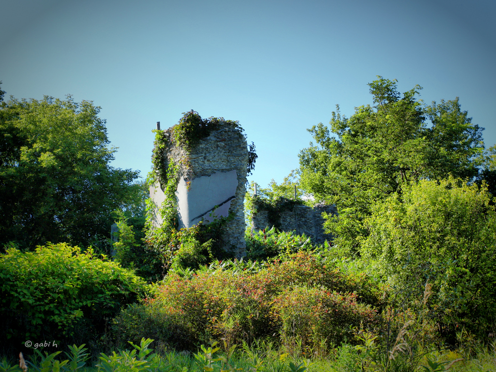 Burnt Norton 3 Another trip back to the AndersonLevine H… Flickr