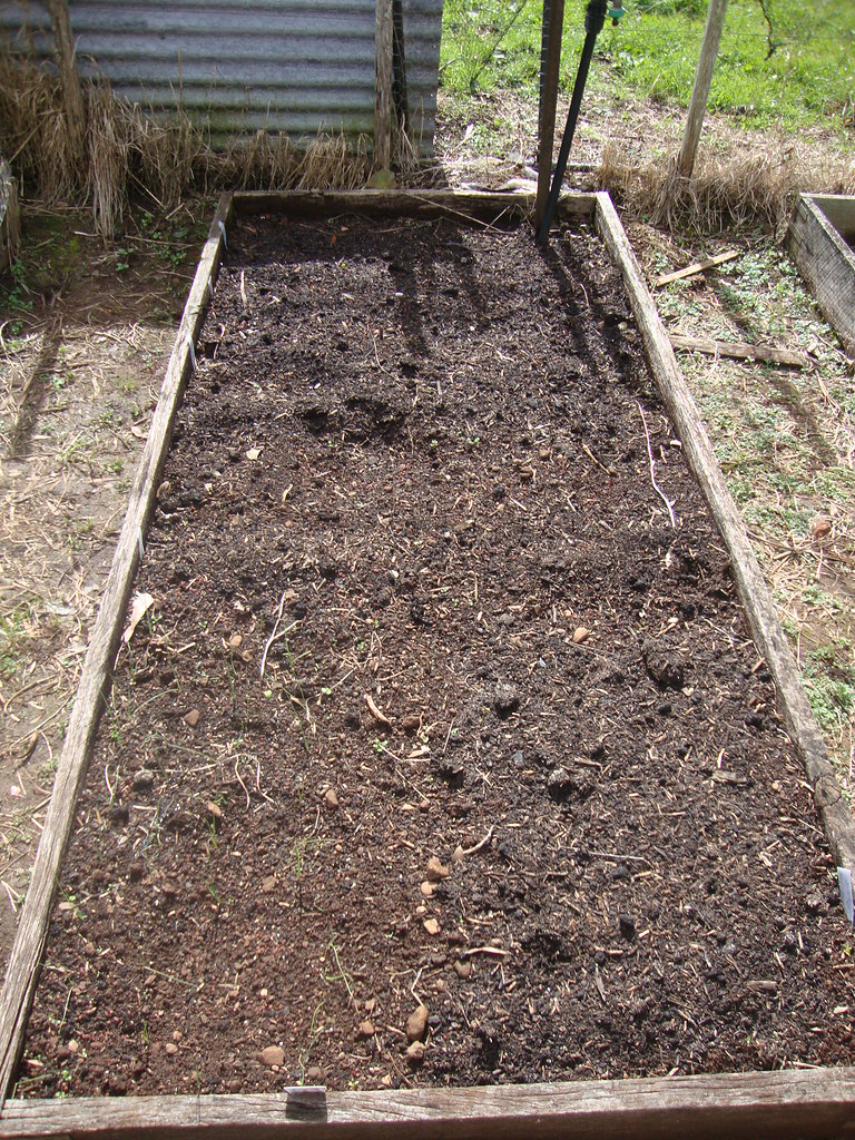 DSC00935 Bed 2 1.14m x 2.6m Seeded with several plants Bot… Flickr